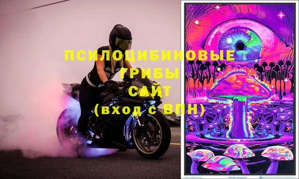 круглые Вязьма