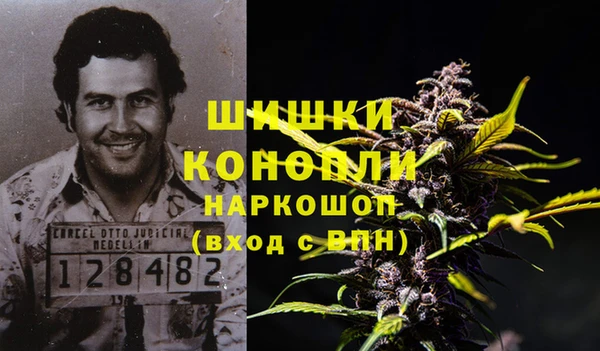 круглые Вязьма